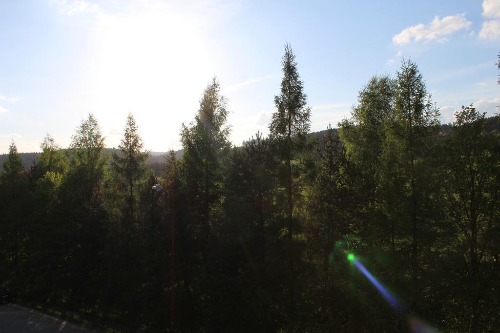 Apartmán Relax so saunou a jakuzzi Námestovo Pokoj fotografie